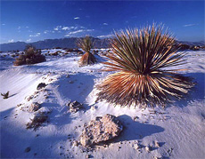 montagnes du Mexique