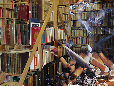Illustration : Comment j'ai fumé tous mes livres