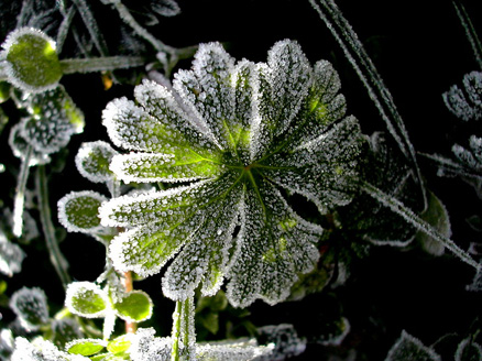 photographie de Frère Jean