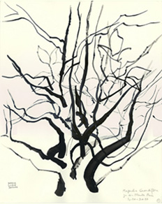 Arbre, encre