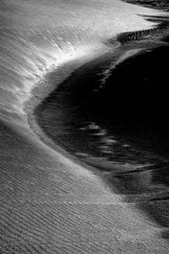 La plage de l'Espiguette, photographie de Didier Leclerc