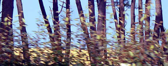 Vent, près de la dune du Pyla