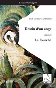 Destin d'un ange (couv)