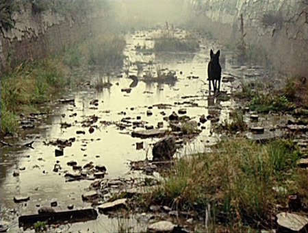 Illustration tirée du film Stalker, d'Andrei Tarkovski, 1979
